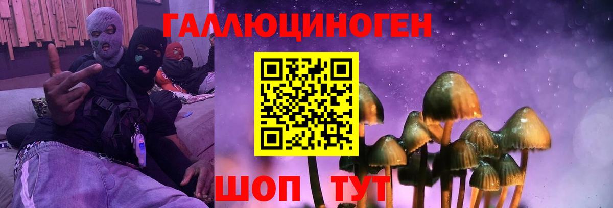 как найти наркотики  Галлюциногенные грибы ЛСД  Вход с VPN  Искитим 
